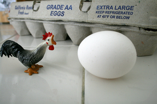 Egg or chicken